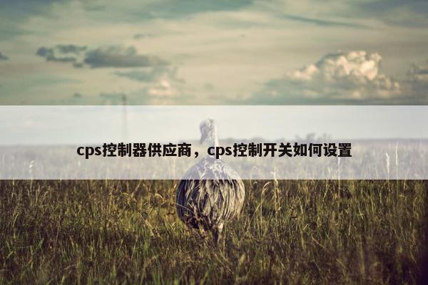 cps控制器供应商，cps控制开关如何设置