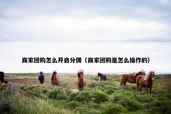 商家团购怎么开启分佣（商家团购是怎么操作的）