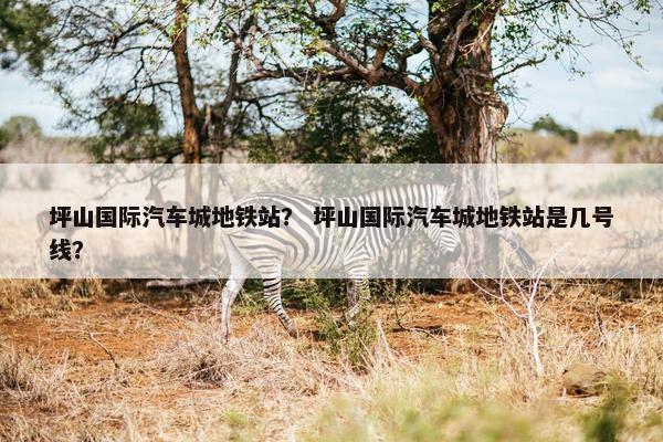 坪山国际汽车城地铁站？ 坪山国际汽车城地铁站是几号线？