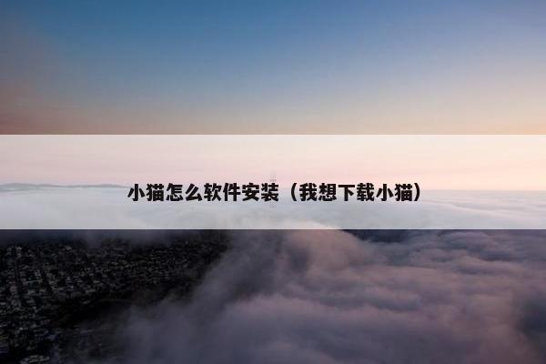 小猫怎么软件安装（我想下载小猫）