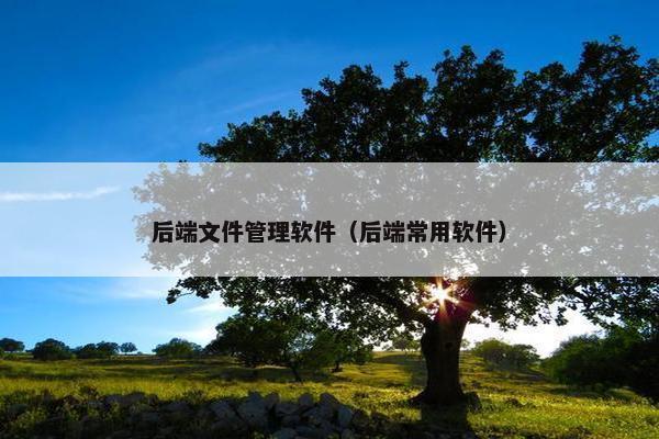 后端文件管理软件（后端常用软件）