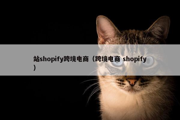 站shopify跨境电商（跨境电商 shopify）