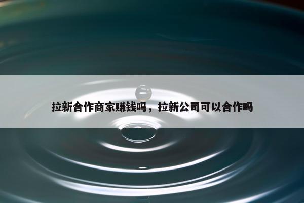 拉新合作商家赚钱吗，拉新公司可以合作吗