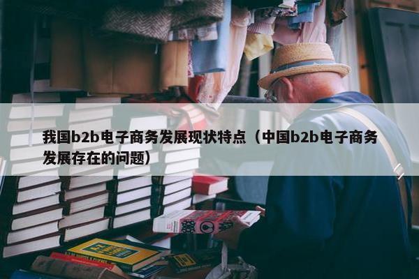 我国b2b电子商务发展现状特点（中国b2b电子商务发展存在的问题）