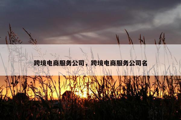 跨境电商服务公司，跨境电商服务公司名