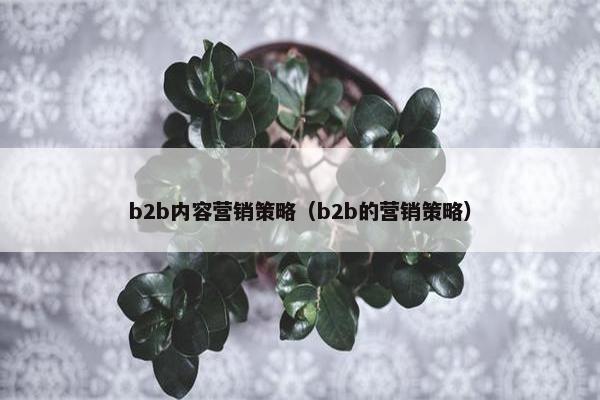b2b内容营销策略（b2b的营销策略）
