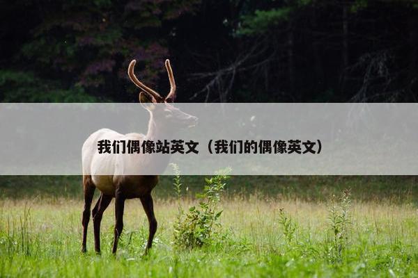 我们偶像站英文（我们的偶像英文）