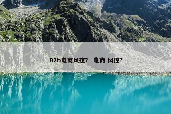 B2b电商风控？ 电商 风控？
