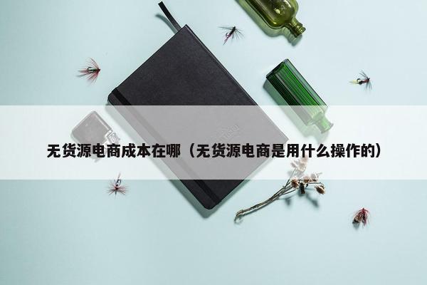 无货源电商成本在哪（无货源电商是用什么操作的）