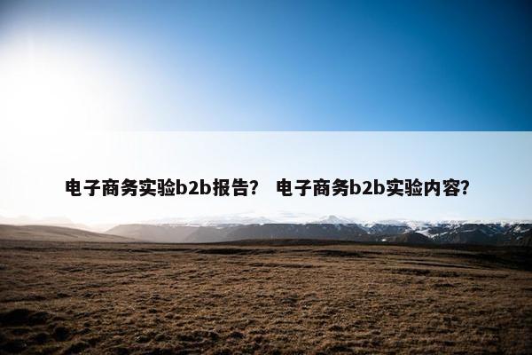 电子商务实验b2b报告？ 电子商务b2b实验内容？