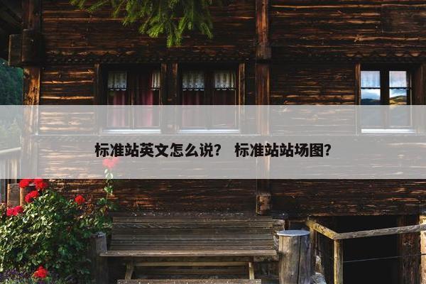 标准站英文怎么说？ 标准站站场图？