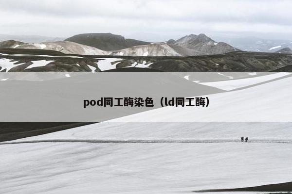 pod同工酶染色（ld同工酶）