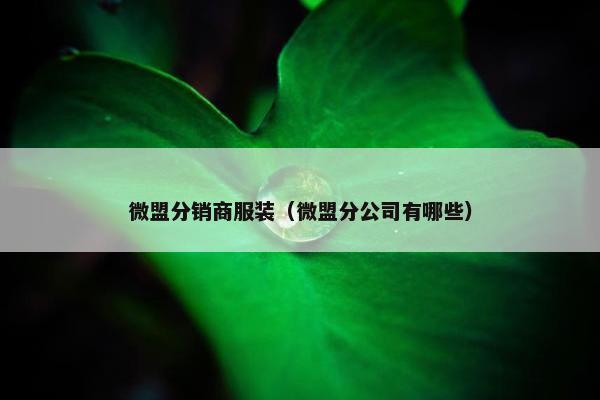 微盟分销商服装（微盟分公司有哪些）