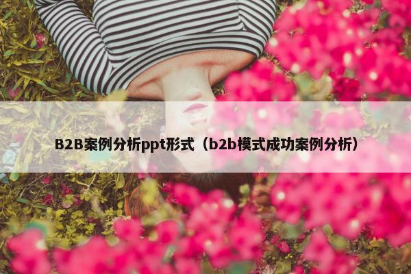 B2B案例分析ppt形式（b2b模式成功案例分析）
