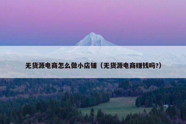 无货源电商怎么做小店铺（无货源电商赚钱吗?）