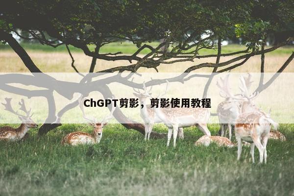ChGPT剪影，剪影使用教程