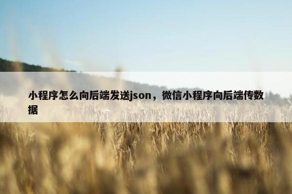 小程序怎么向后端发送json，微信小程序向后端传数据