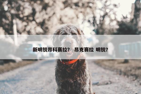 新明锐昂科赛拉？ 昂克赛拉 明锐？