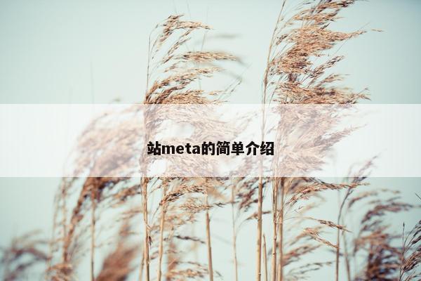 站meta的简单介绍