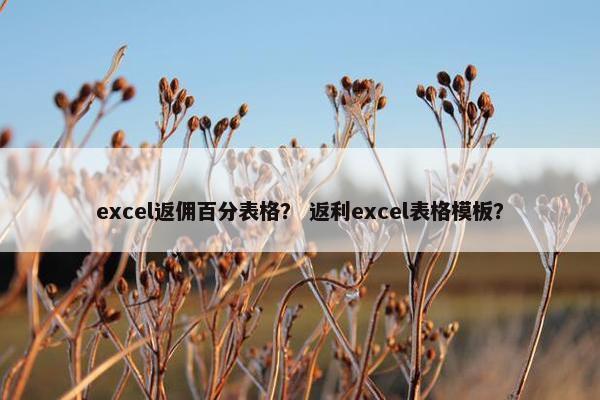 excel返佣百分表格？ 返利excel表格模板？
