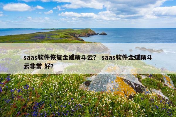 saas软件恢复金蝶精斗云？ saas软件金蝶精斗云非常 好？