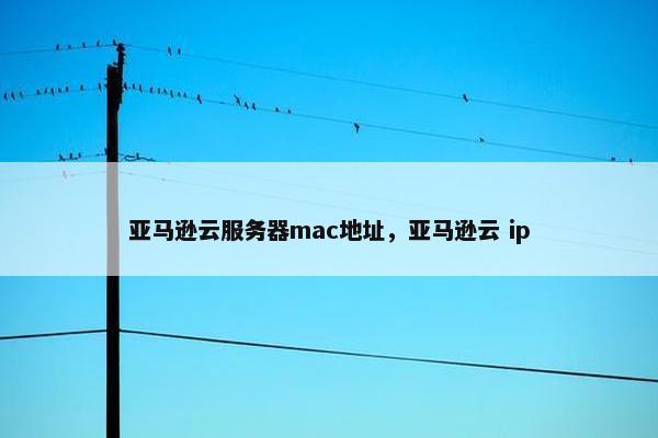 亚马逊云服务器mac地址，亚马逊云 ip