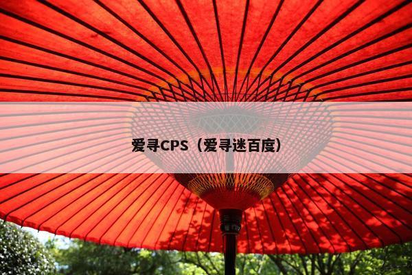 爱寻CPS（爱寻迷百度）