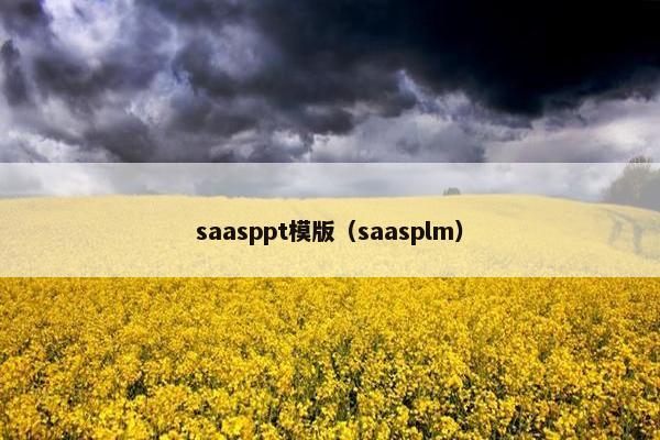 saasppt模版（saasplm）