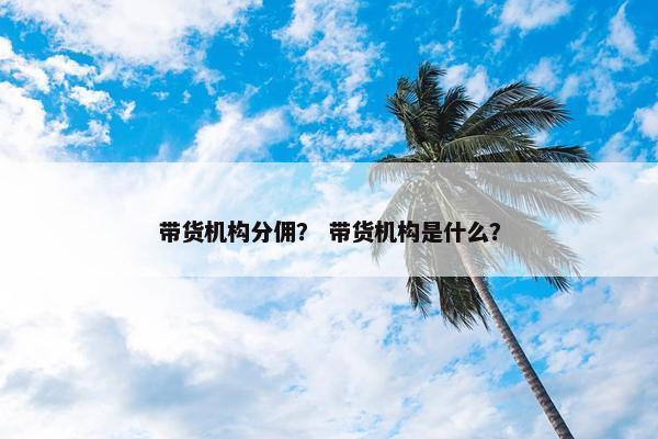 带货机构分佣？ 带货机构是什么？
