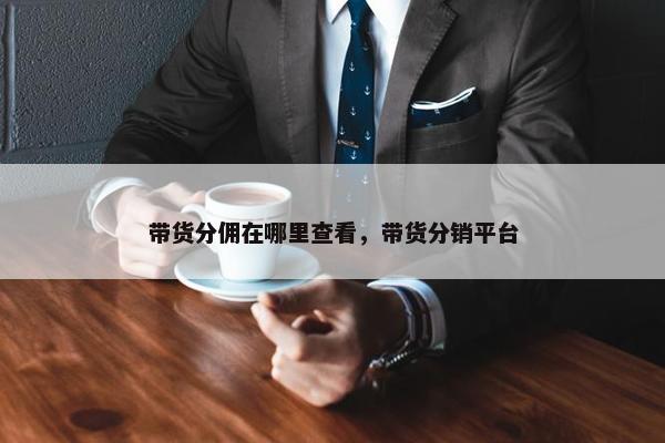 带货分佣在哪里查看，带货分销平台