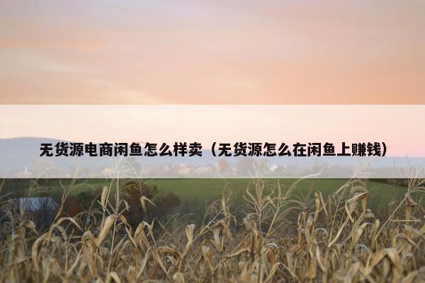 无货源电商闲鱼怎么样卖（无货源怎么在闲鱼上赚钱）