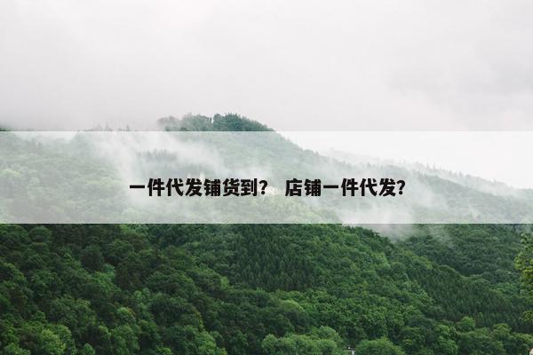 一件代发铺货到？ 店铺一件代发？