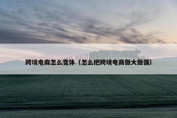 跨境电商怎么变体（怎么把跨境电商做大做强）