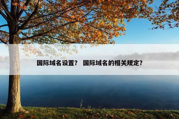 国际域名设置？ 国际域名的相关规定？