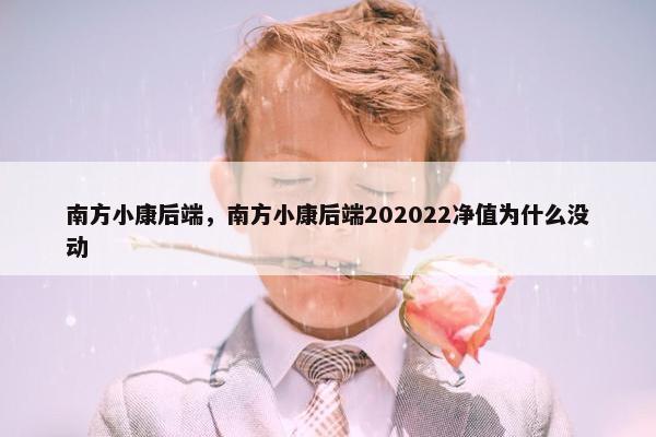 南方小康后端，南方小康后端202022净值为什么没动