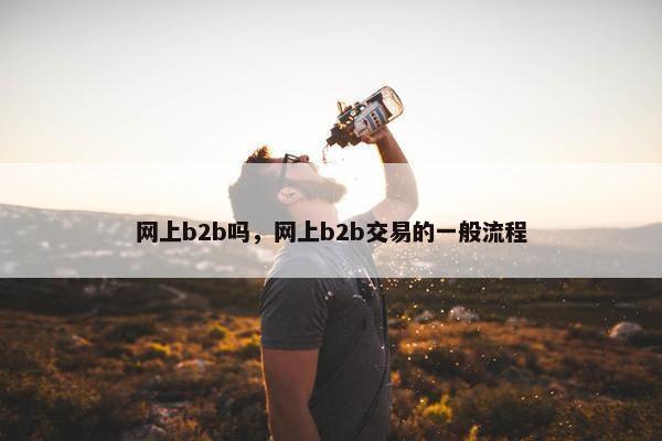 网上b2b吗，网上b2b交易的一般流程