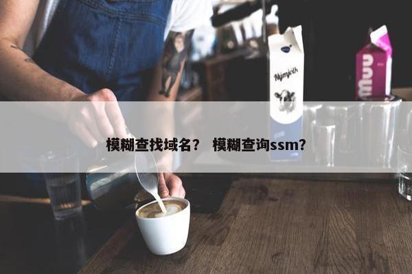 模糊查找域名？ 模糊查询ssm？