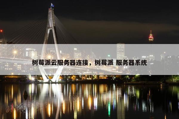 树莓派云服务器连接，树莓派 服务器系统