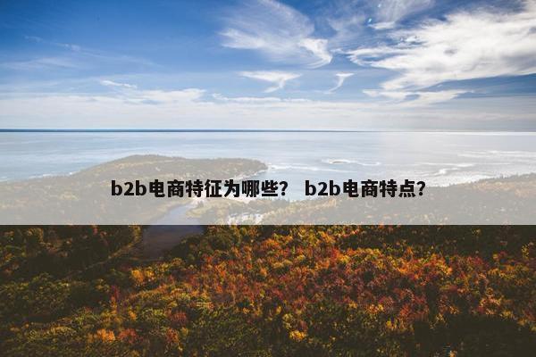b2b电商特征为哪些？ b2b电商特点？