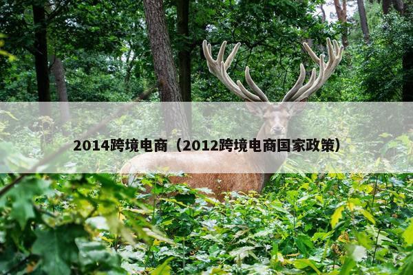 2014跨境电商（2012跨境电商国家政策）