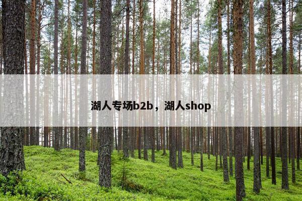 湖人专场b2b，湖人shop