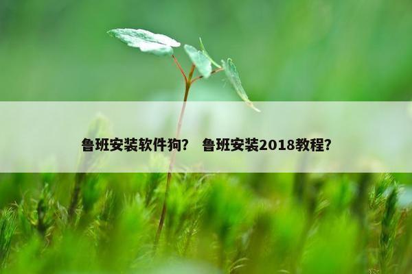 鲁班安装软件狗？ 鲁班安装2018教程？