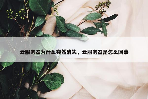 云服务器为什么突然消失，云服务器是怎么回事