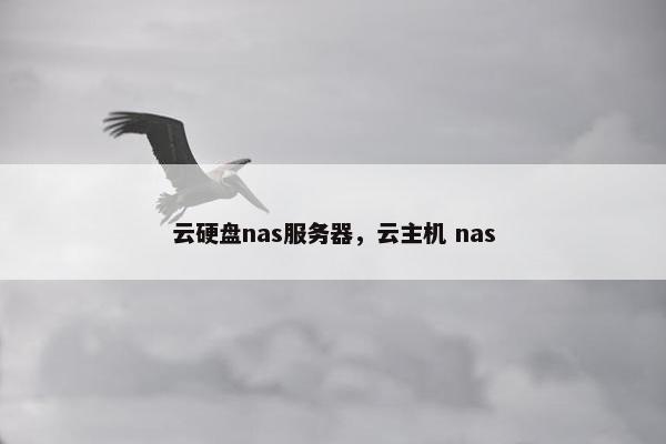 云硬盘nas服务器，云主机 nas