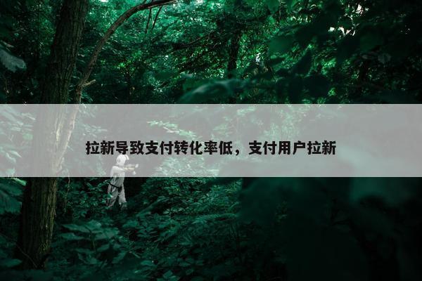 拉新导致支付转化率低，支付用户拉新