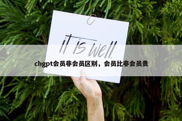 chgpt会员非会员区别，会员比非会员贵
