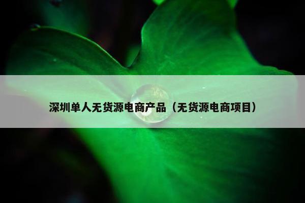深圳单人无货源电商产品（无货源电商项目）