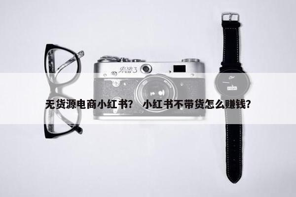 无货源电商小红书？ 小红书不带货怎么赚钱？