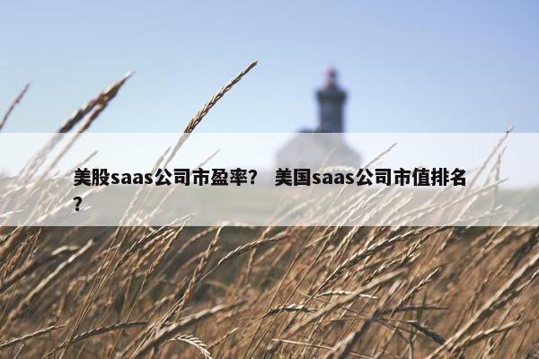 美股saas公司市盈率？ 美国saas公司市值排名？
