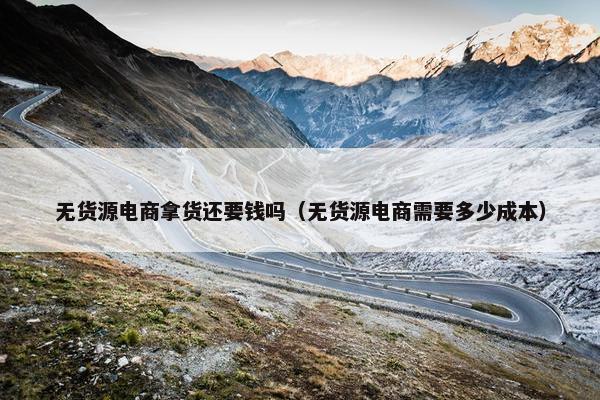 无货源电商拿货还要钱吗（无货源电商需要多少成本）